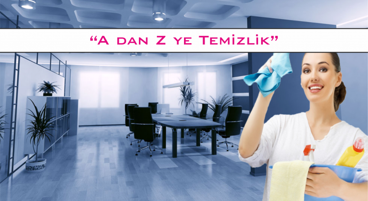 Profesyonel Ev ve Ofis Temizliği